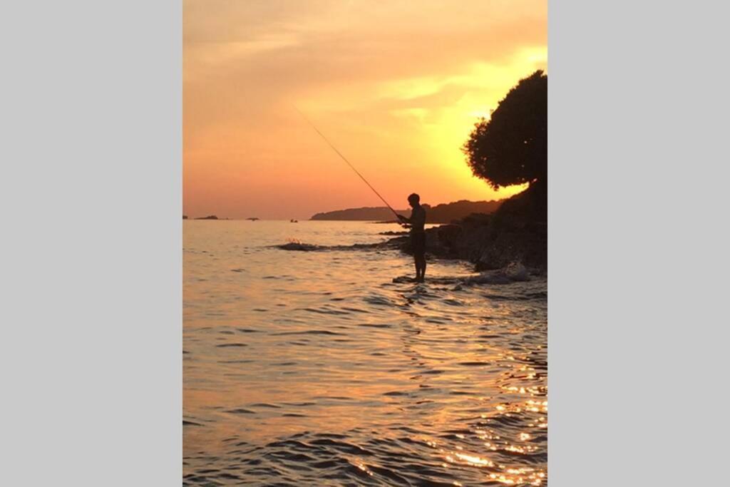 Viva 2 Rovinj Apartman Kültér fotó