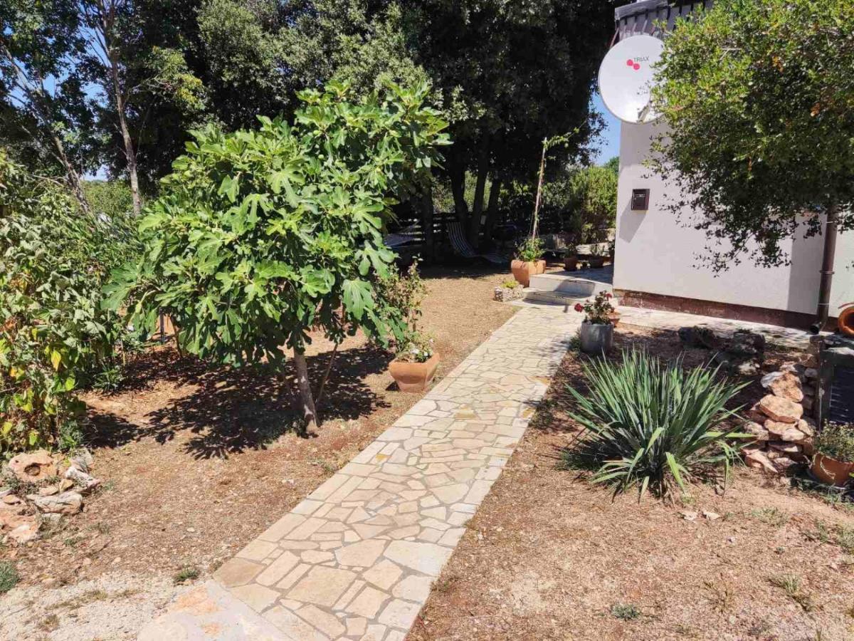 Viva 2 Rovinj Apartman Kültér fotó